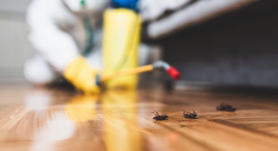 Pest Control
