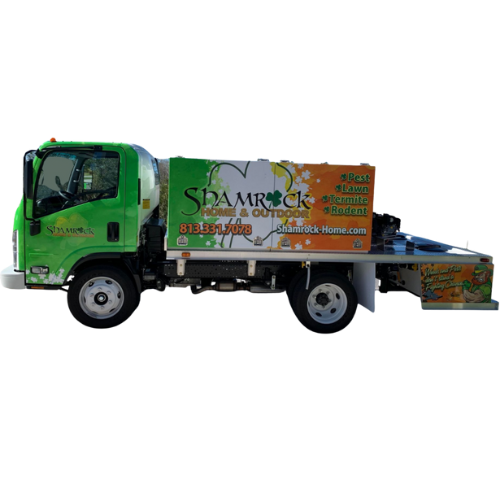 Shamrock Vehicle