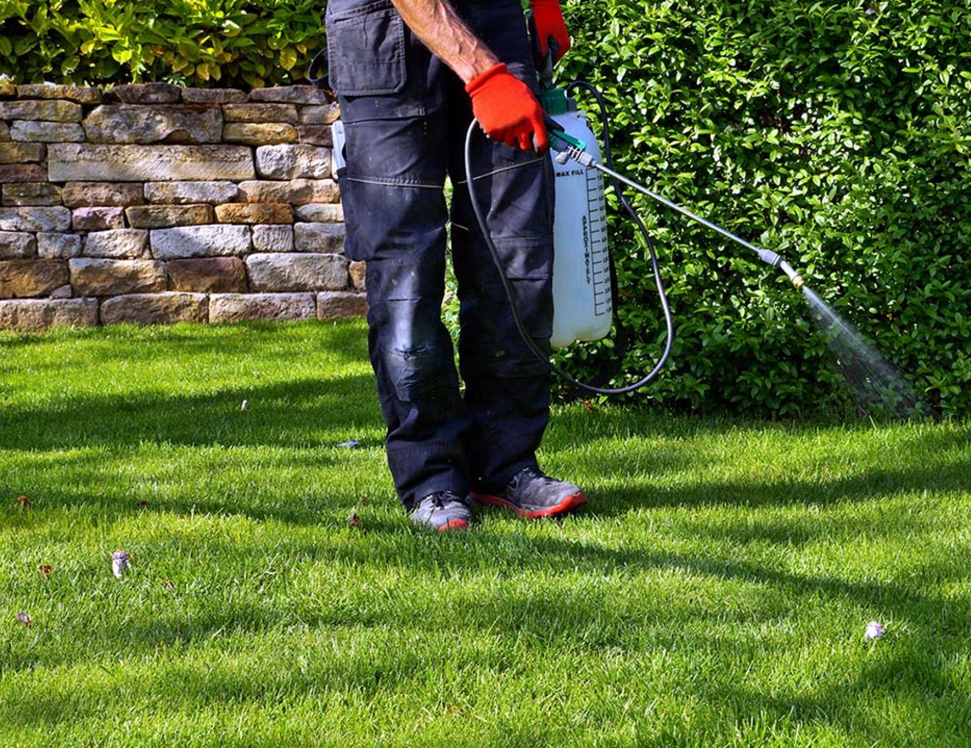 Pest Control Apollo Beach, FL
