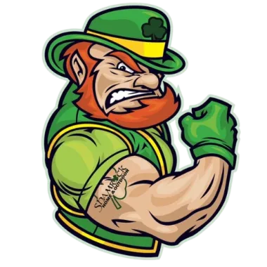 Shamrock Home & Outdoor Logo